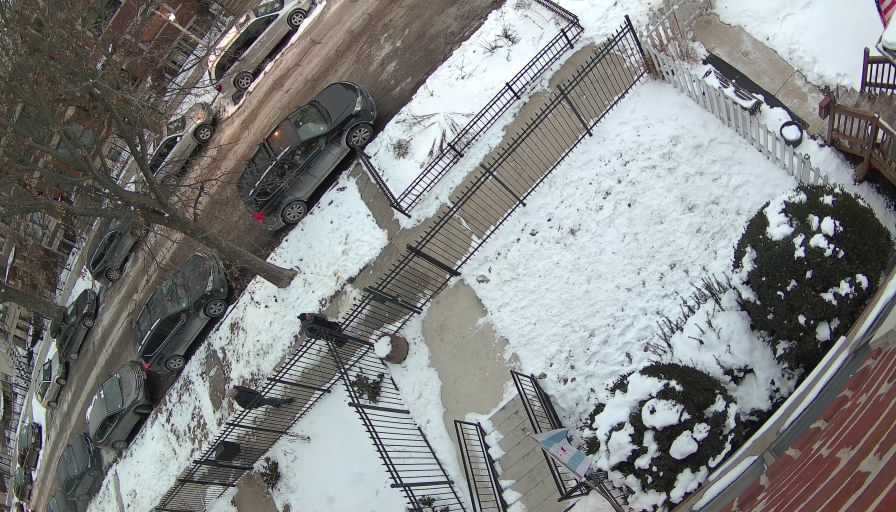 Reolink Camera Two_01_Reolink Home Hub One_20260130071221.jpg